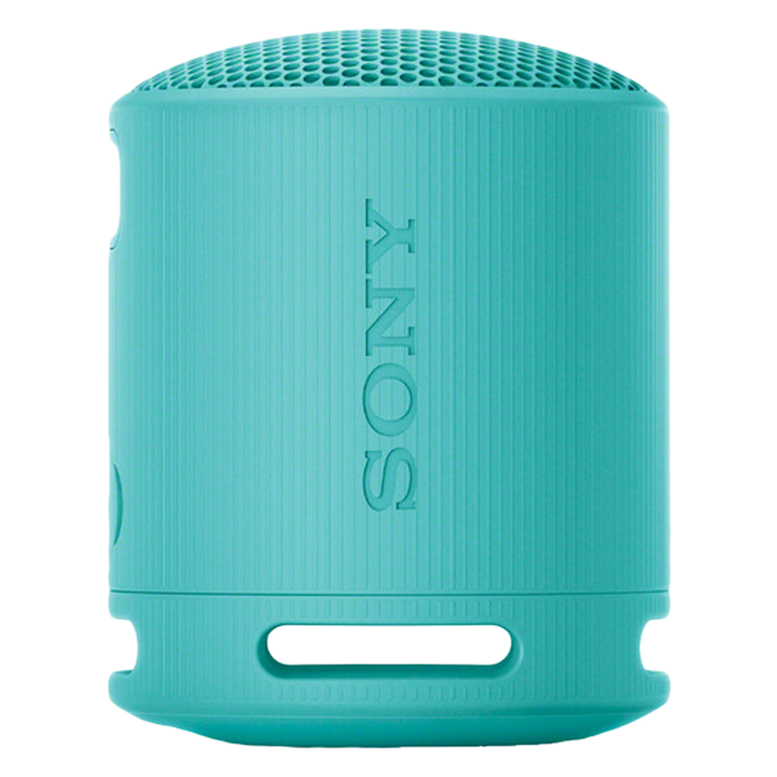 Buy SONY SRS-XB100 2.5W Portable Bluetooth Speaker (IP67 Waterproof